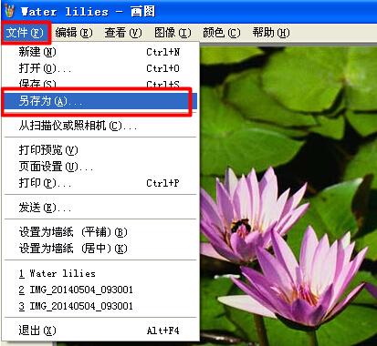 图片格式转换word