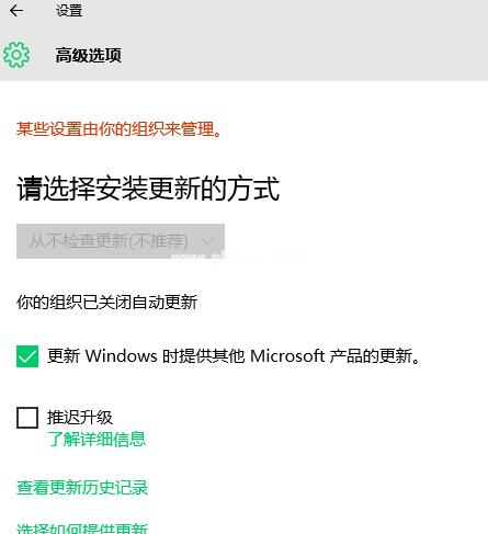 win10的ie下载