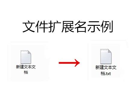 扩展名怎么改