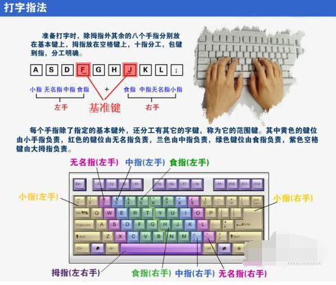 练习打字的软件,小编教你怎么快速学会打字