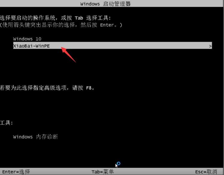 小白一键重装在线下载系统安装win11的步骤教程