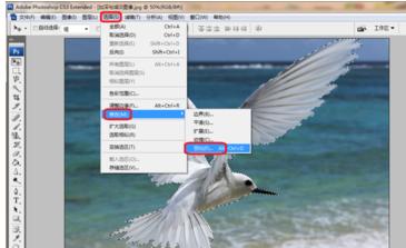 ps放大缩小快捷键,小编教你ps放大缩小快捷键是什么