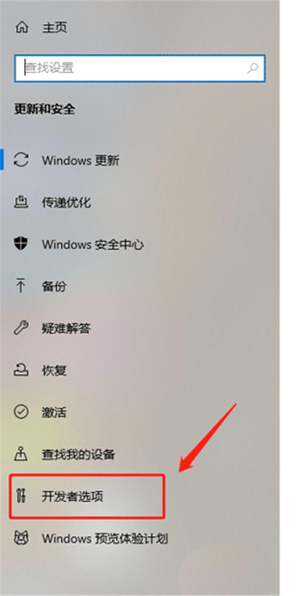 Win10怎么开启开发人员模式?
