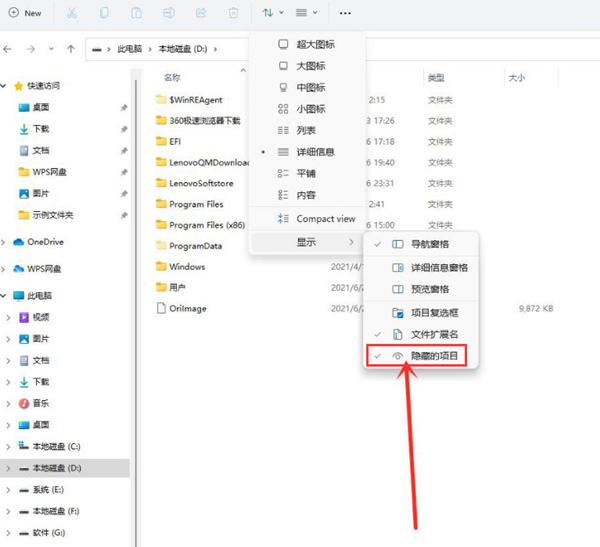 Win11如何查看隐藏项目？Win11查看隐藏项目的方法