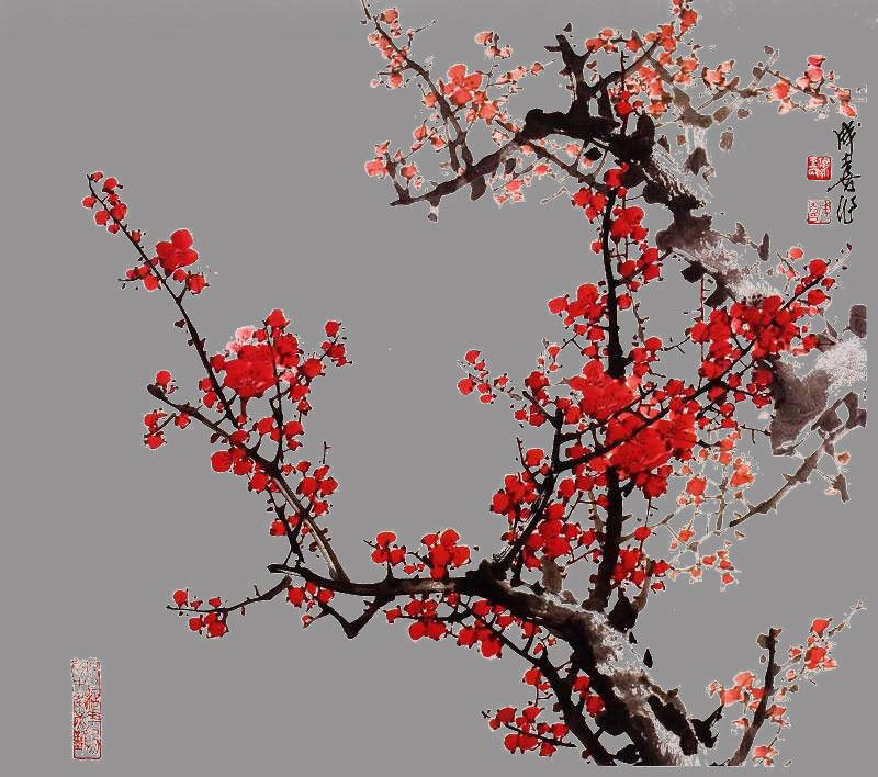 PS如何使用通道抠梅花?PS通道抠图教程分享