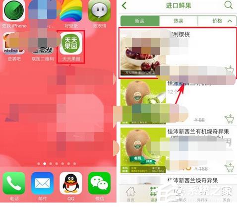 天天果园APP如何添加关注?天天果园APP添加关注的方法