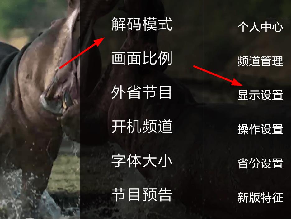 HDP直播怎么调整清晰度 HDP直播调整清晰度的教程