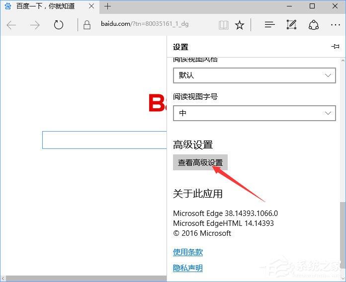 Win10网页视频无法播放提示&ldquo;点击即可启用adobe flash player&rdquo;咋办？