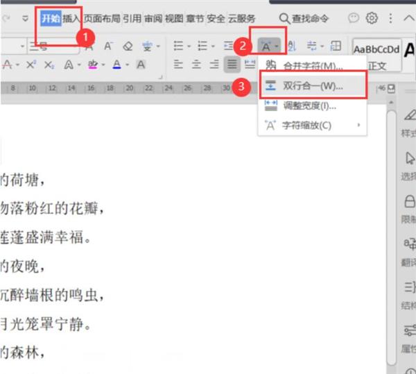 Word文档中怎么设置双行合一
