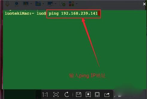 MacOS中如何使用ping命令？MacOS中ping命令的使用方法