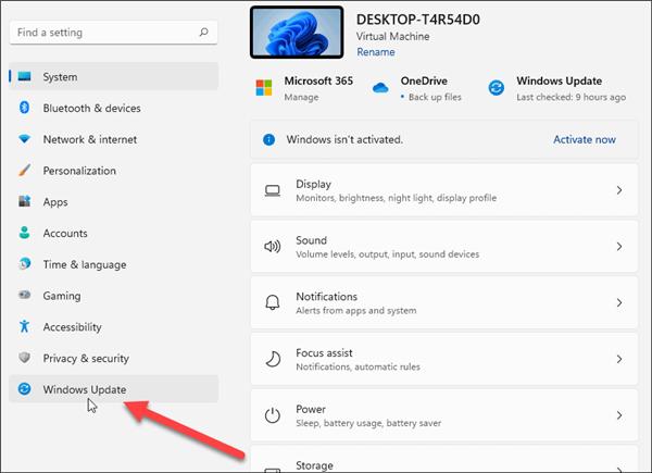 如何手动更新Windows11?手动更新Windows11方法教程