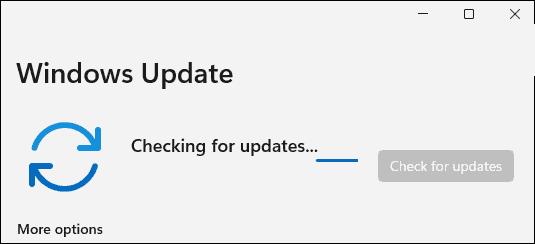 如何手动更新Windows11?手动更新Windows11方法教程