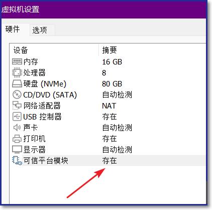 vmware虚拟机里如何添加tpm？vmware虚拟机里添加tpm的方法