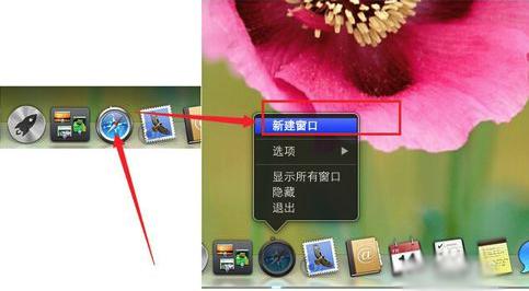 MacOS如何锁定浏览器主页?MacOS锁定浏览器主页的办法