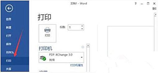 Win10 20H2系统使用Word文档打印不出图片怎么回事?