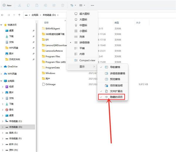 Win11怎么查看隐藏项目?Win11查看隐藏项目的方法