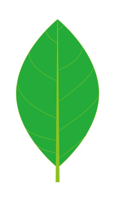 如何使用ai绘制绿叶 使用ai绘制绿叶的方法
