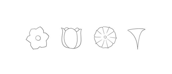 如何使用PS制作原创顶级扁平噪点插画？