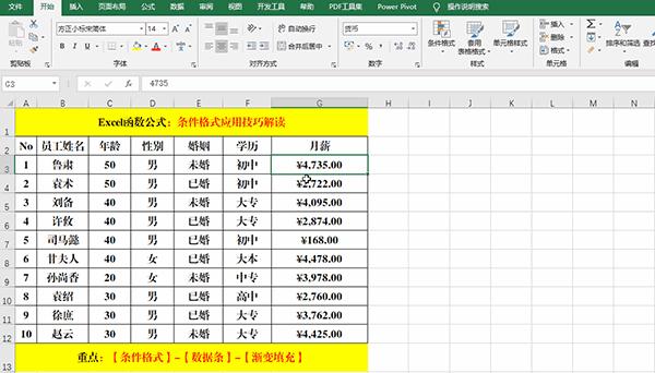 Excel 2019中使用条件格式分析数据的7类方法教学