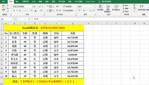 Excel 2019中使用条件格式分析数据的7类方法教学