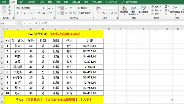 Excel 2019中使用条件格式分析数据的7类方法教学