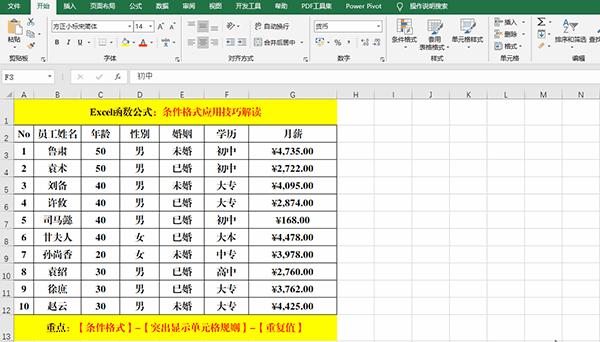 Excel 2019中使用条件格式分析数据的7类方法教学