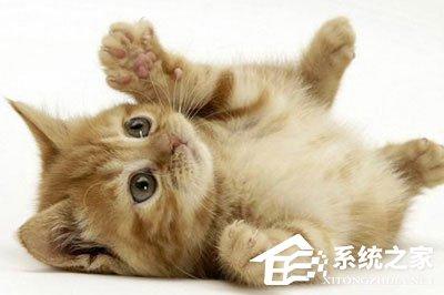 PS粉笔画效果怎么做?一个滤镜轻松搞定