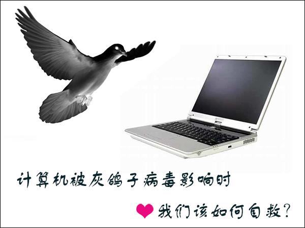 Win7环境下怎么清理灰鸽子病毒?灰鸽子病毒有哪些危害