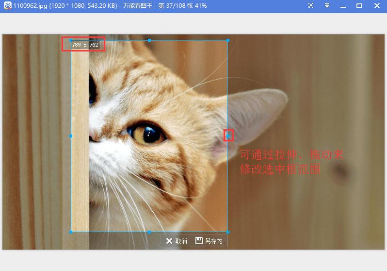 万能看图王有哪些实用功能？万能看图王6大功能详解
