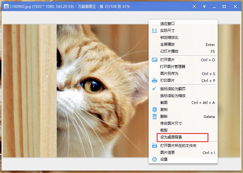 万能看图王有哪些实用功能？万能看图王6大功能详解