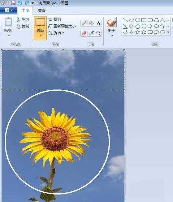 如何用画图工具制作圆形的头像 用画图工具制作圆形的头像的教程