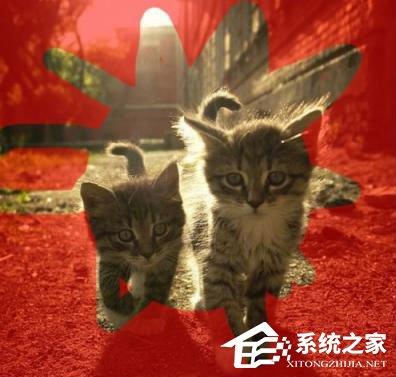 PS蒙版的作用有哪些？PS蒙版的用途分享