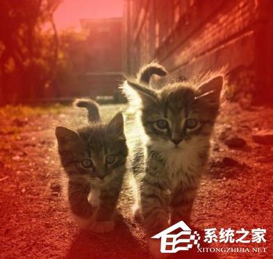 PS蒙版的作用有哪些？PS蒙版的用途分享