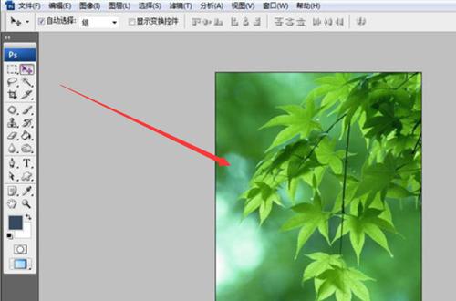 PS如何设置图片参数?PS设置图片参数的方法