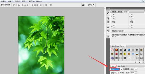 PS如何设置图片参数?PS设置图片参数的方法