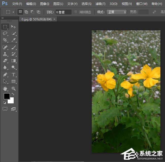 photoshop cs6如何一次打印多张照片？pscs6一次打印多张照片的方法