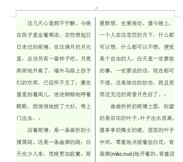wps一分为二中间为竖虚线怎么弄？