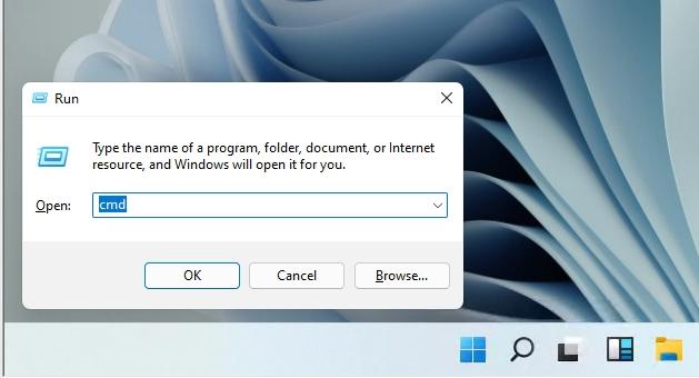 Windows11怎么查看IP地址?win11怎么查看电脑IP地址?