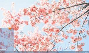 win7装不prcs6吗