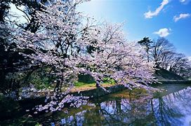 win8 Windows 8 1 更新 KB2919355 from Official Microsoft win8win7和win8.1玩游戏 Windows 8 1 更新 KB2919355 from Official Microsoft