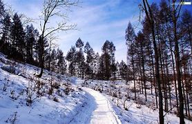 猫主题win7和主题 猫主题win7