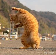 有哪些比较好的电脑桌面时钟 更好用的「桌面翻页时钟」软件推荐 有哪些比较好的电脑桌面时钟 更好电脑闹钟软件 win7用的「桌面翻页时钟」软件推荐