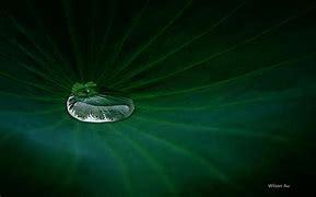 win7忘记开机密码怎么破解 win7忘记开机密码怎么win7如何破电脑密码破解