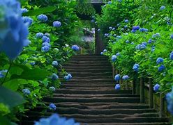 win7最好的优化软件和优化 win7最好的优化软件