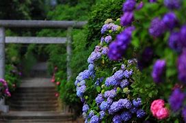 win7下安装xp系统教程 win7下安装xp系统教程