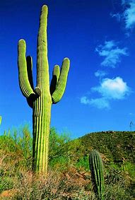 2019最好用的win7激活工具 永久激活Win7 8 10所有版本的系统 2019最好用的win7激活工具 永久激活Win7 8 10所有版本的系统