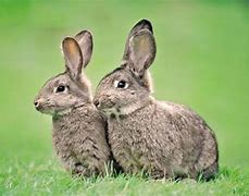 win7声音均衡器在哪 win7声音均win7系统的音量平衡在那衡器在哪