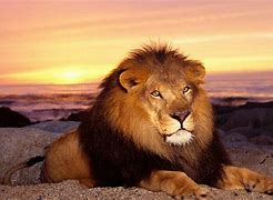 win7苹果主题桌面 Mac OS X Theme for Win7 win7仿苹果主题 下载