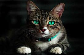 win7开机卡在启动界面不动的两种处理方法 win7开机卡在启动界面不动的两种处理方法 win7开机卡在启动界面不动的两种处理方法 win7开机卡在启动界面不动的两种处理方法