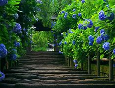 win7应用程序已停止工作怎么办 win7应用程序已停止工作怎么办